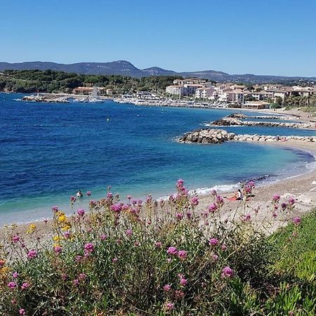 T2 Renove Climatise Avec Jardin, Proche Plage, Parking Securise - Fr-1-316-174 Lägenhet Six-Fours-les-Plages Exteriör bild