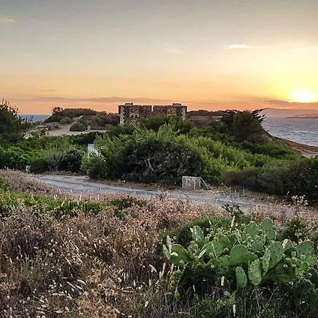 T2 Renove Climatise Avec Jardin, Proche Plage, Parking Securise - Fr-1-316-174 Lägenhet Six-Fours-les-Plages Exteriör bild