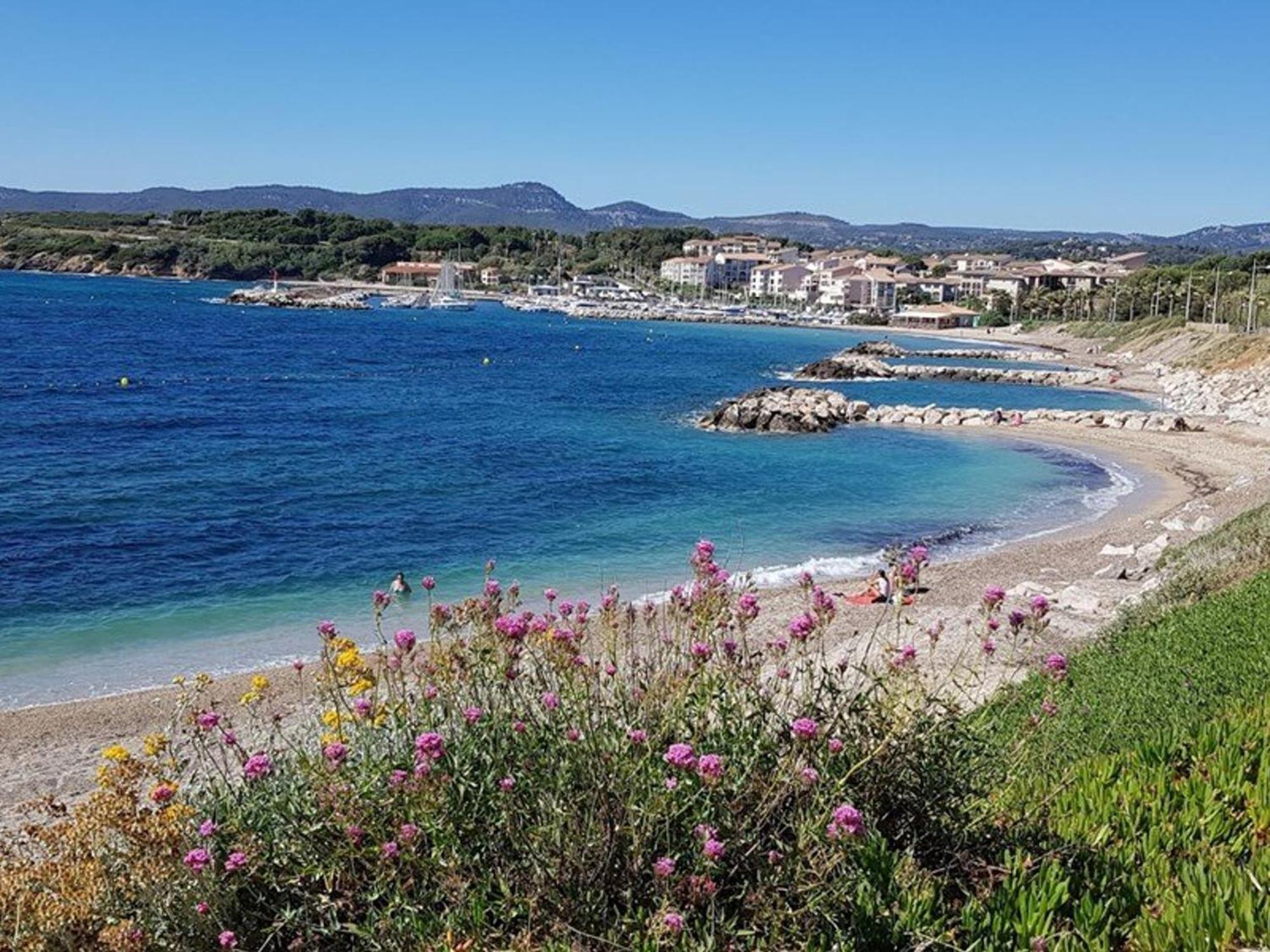 T2 Renove Climatise Avec Jardin, Proche Plage, Parking Securise - Fr-1-316-174 Lägenhet Six-Fours-les-Plages Exteriör bild