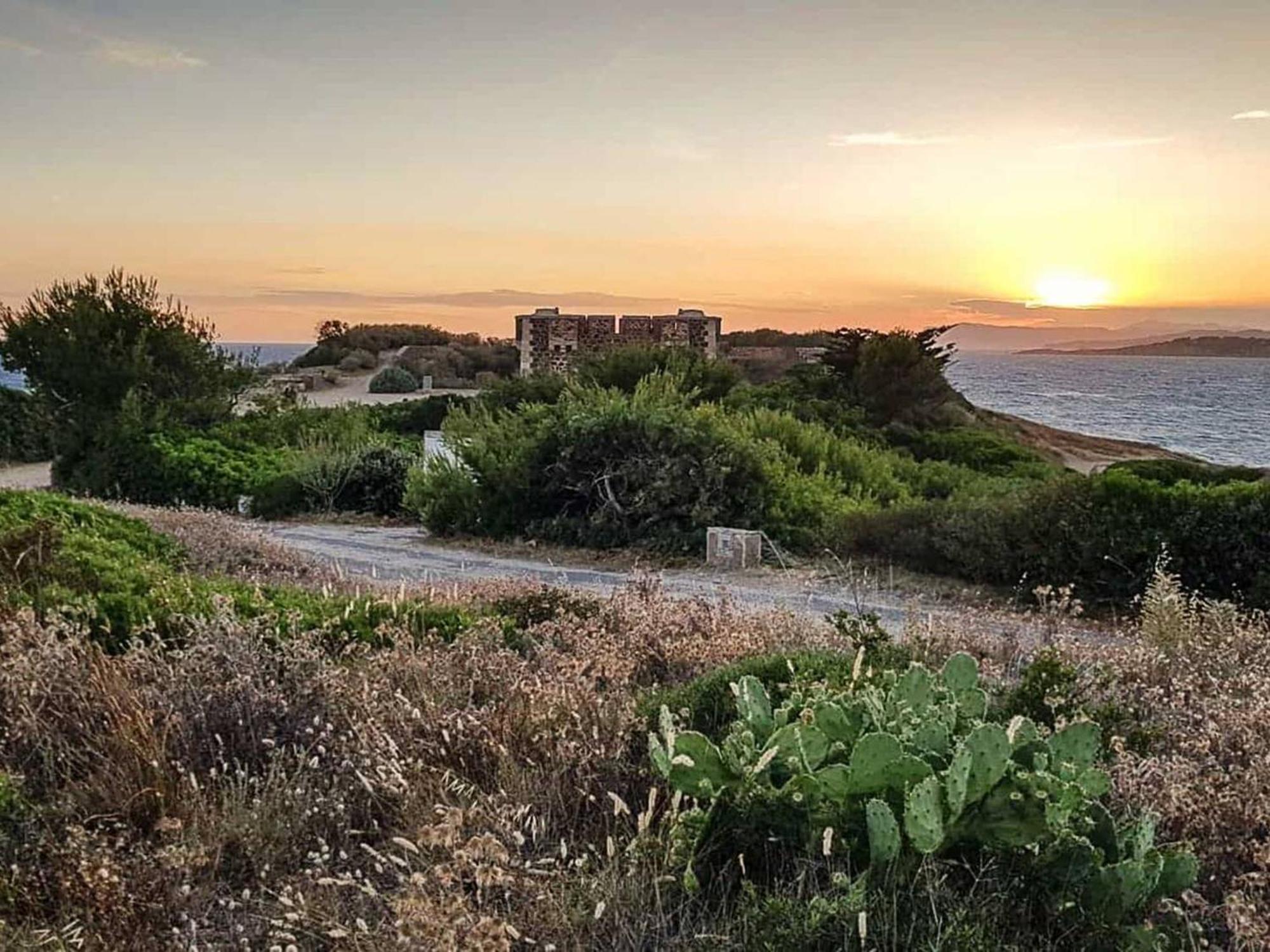 T2 Renove Climatise Avec Jardin, Proche Plage, Parking Securise - Fr-1-316-174 Lägenhet Six-Fours-les-Plages Exteriör bild